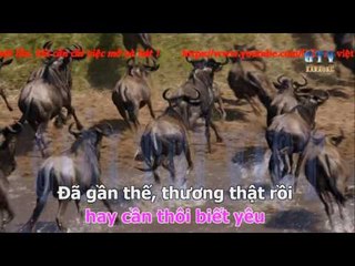 { Karaoke } Dạ Khúc  - Đoan Trang