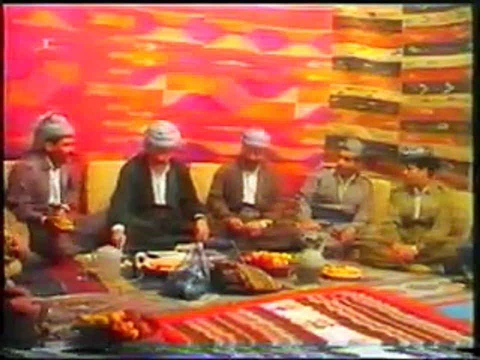 Ali gulli