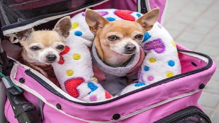 서면휴게텔 서면마사지《서면안마 》아달