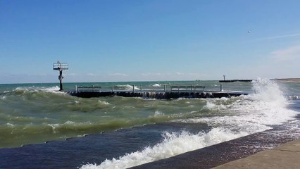 Surfs Up South Side Chicago
