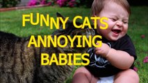 Tiger Productions - Funny cats annoying babies - Cute cat & baby compilation
