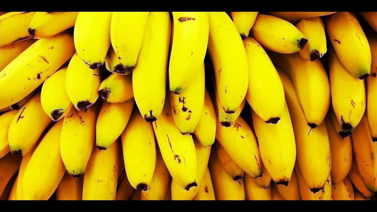 Will Bananas Soon Become Extinct?