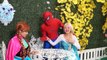 Frozen Elsa CRAZY HIT Spiderman's HEAD by COCACOLA INTO POOL & Superman Snow White Superhero Fun