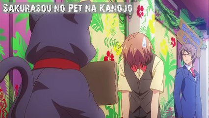 Top 20 Romance School Anime of All Time