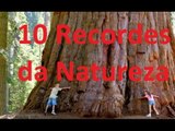 #Curiosidades: 10 Recordes da Natureza (Confira!) #7
