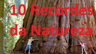 #Curiosidades: 10 Recordes da Natureza (Confira!) #7