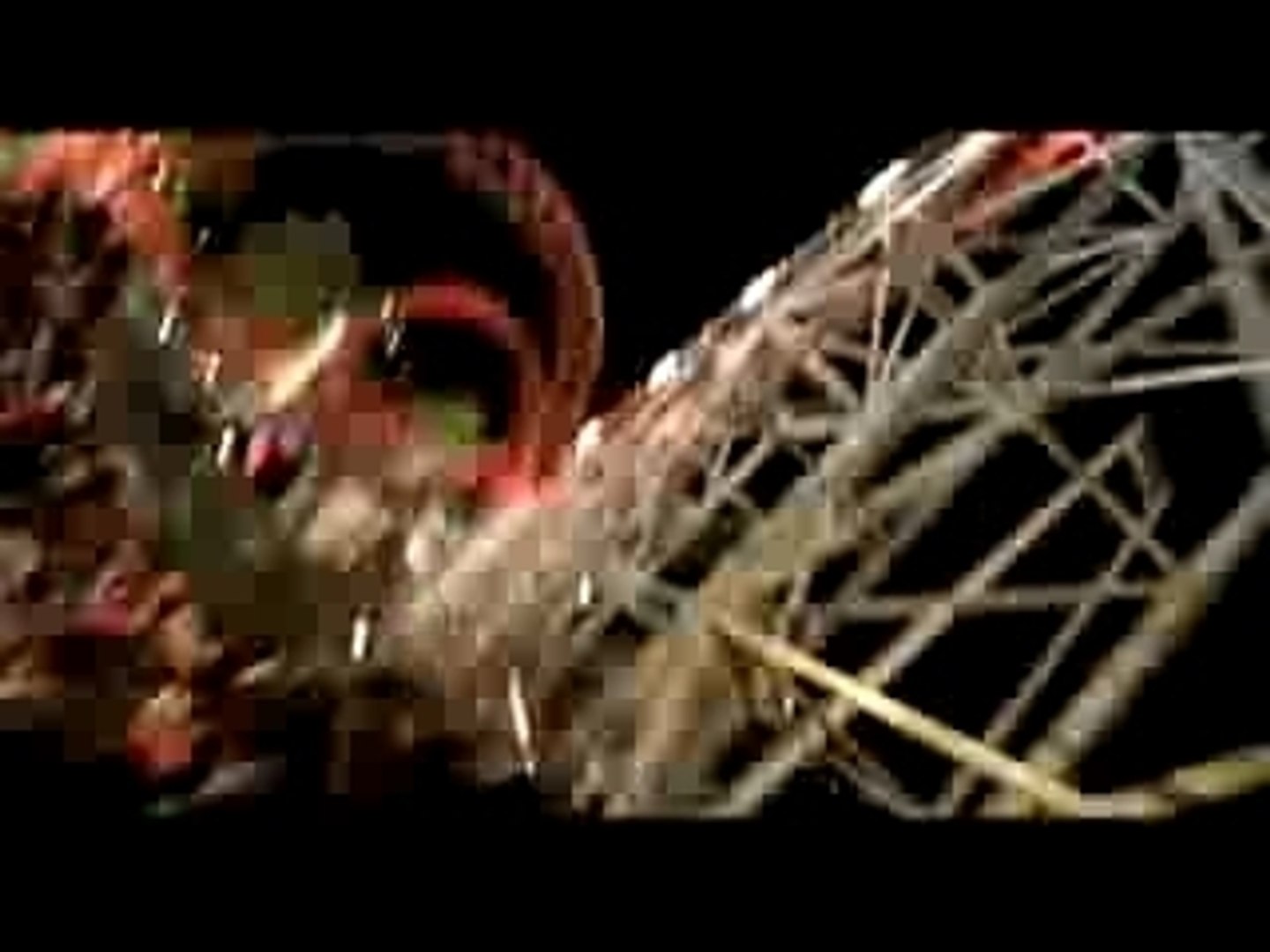 ファイナル デッドコースター 動画 Dailymotion