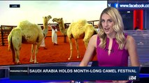 PERSPECTIVES | Saudi Arabia holds month-long camel festival | Monday, April 3rd 2017