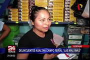 Cercado de Lima: delincuentes roban 17 mil soles de tienda en 'Las Malvinas'