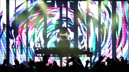 Marshmello || Gets attacked by a Koala in Australia || Full HD || 2017