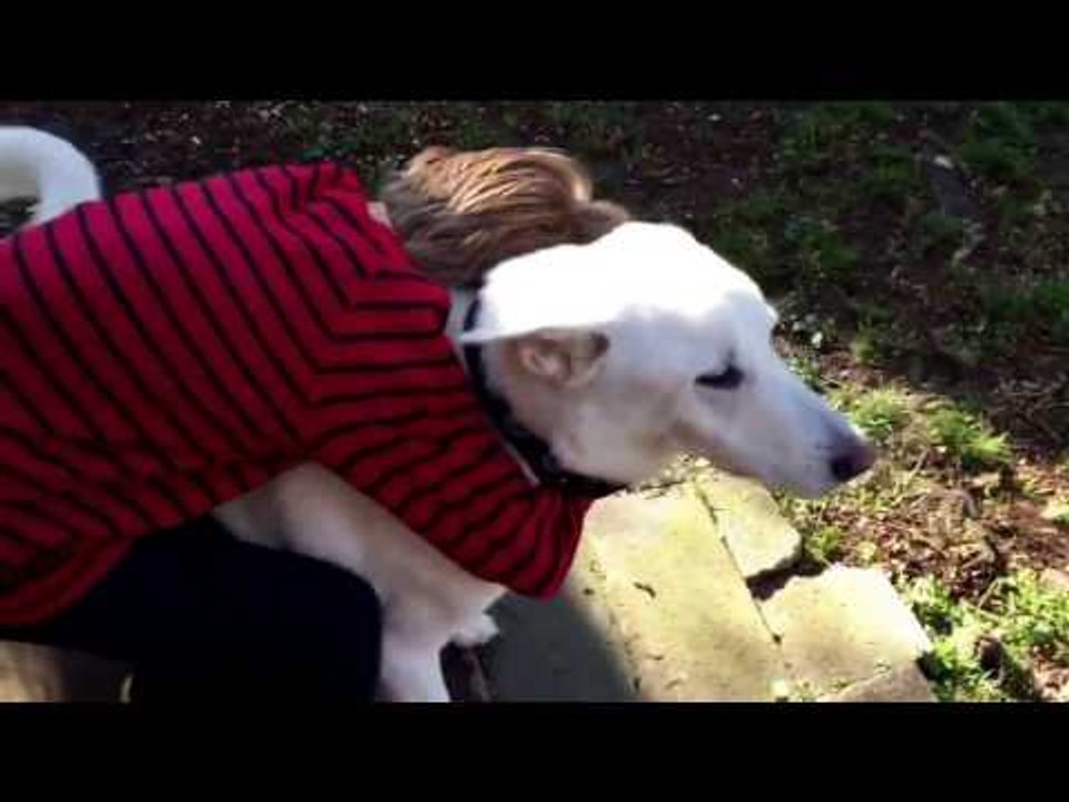 Boy and Dog Reunited After 1 Year Apart