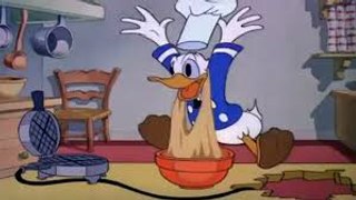 Donald Duck And Chip n Dale Best Funny Compilation 2