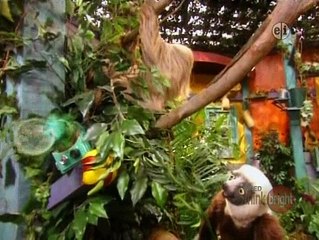 Zoboomafoo - Green Creatures