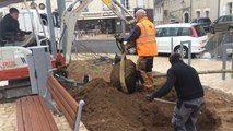 Plantation sur la place de la mairie