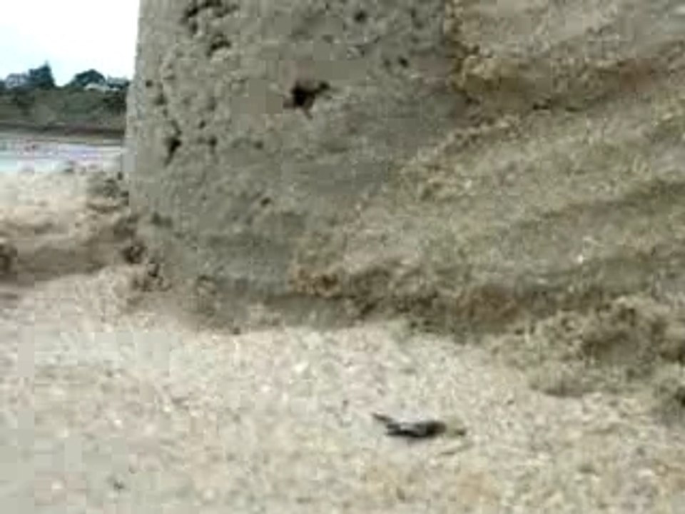 Chateau de sable de Lancieu