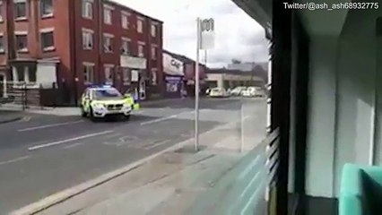 Bolton police 'shoot dead pack of five dangerous dogs' _ Daily Mail Online