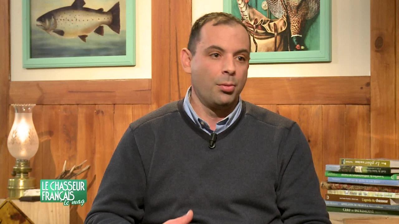 chasse du renard à l'approche