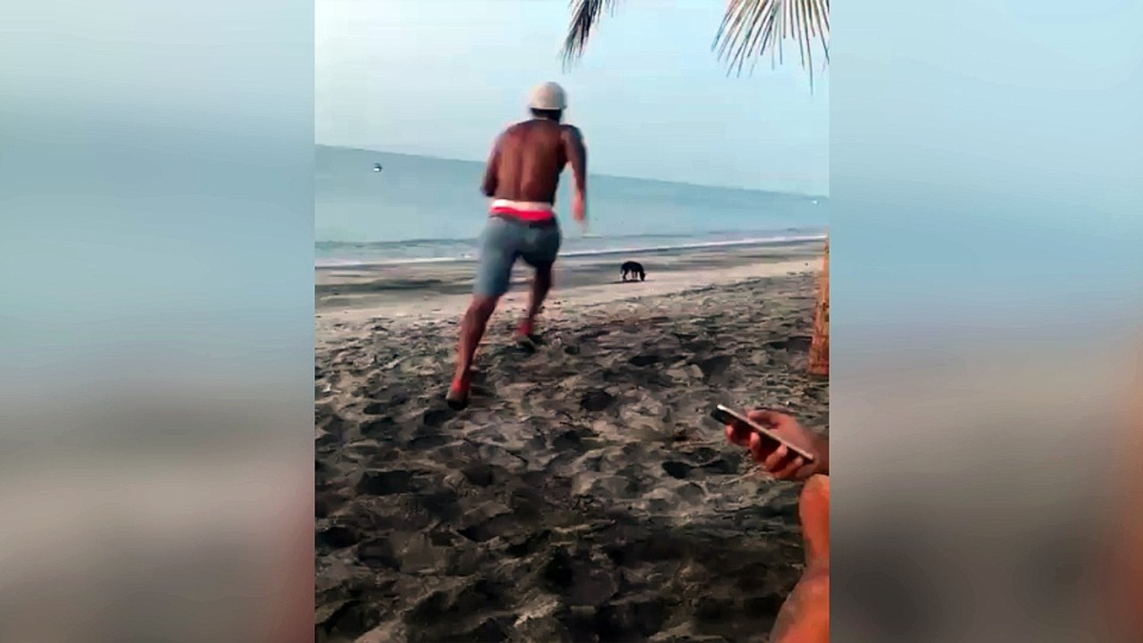 Karma: intenta dar patada a un perro y acaba humillado