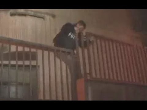 Reggio Calabria - 'Ndrangheta, 11 fermi contro la cosca Pesce (04.04.17)