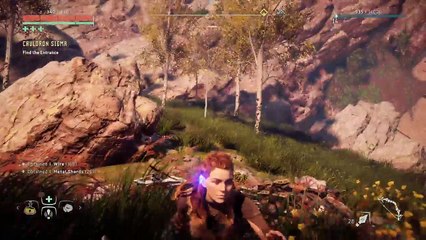 Horizon zero Dawn Live PS4 Broadcast (5)