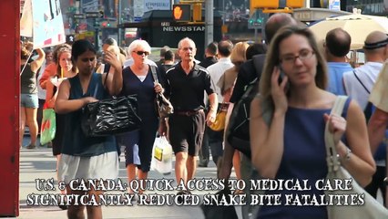 9 Animals That Hunt Humans