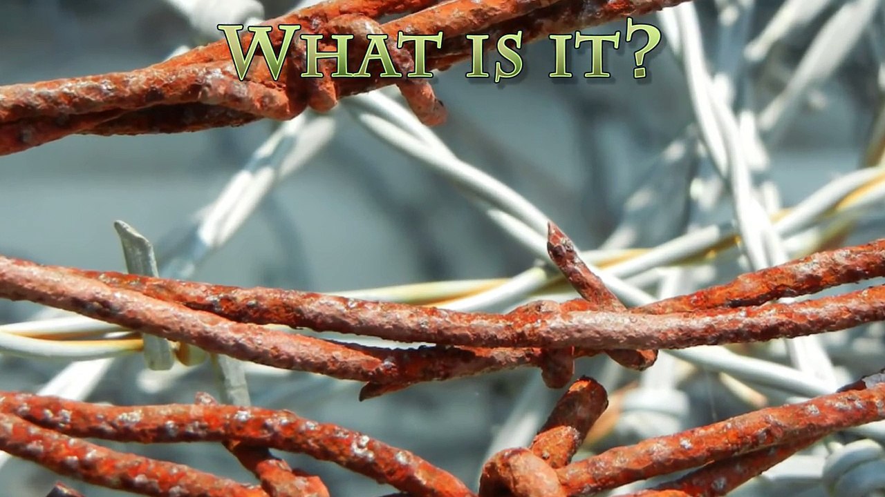 How to Survive a Tetanus Infection