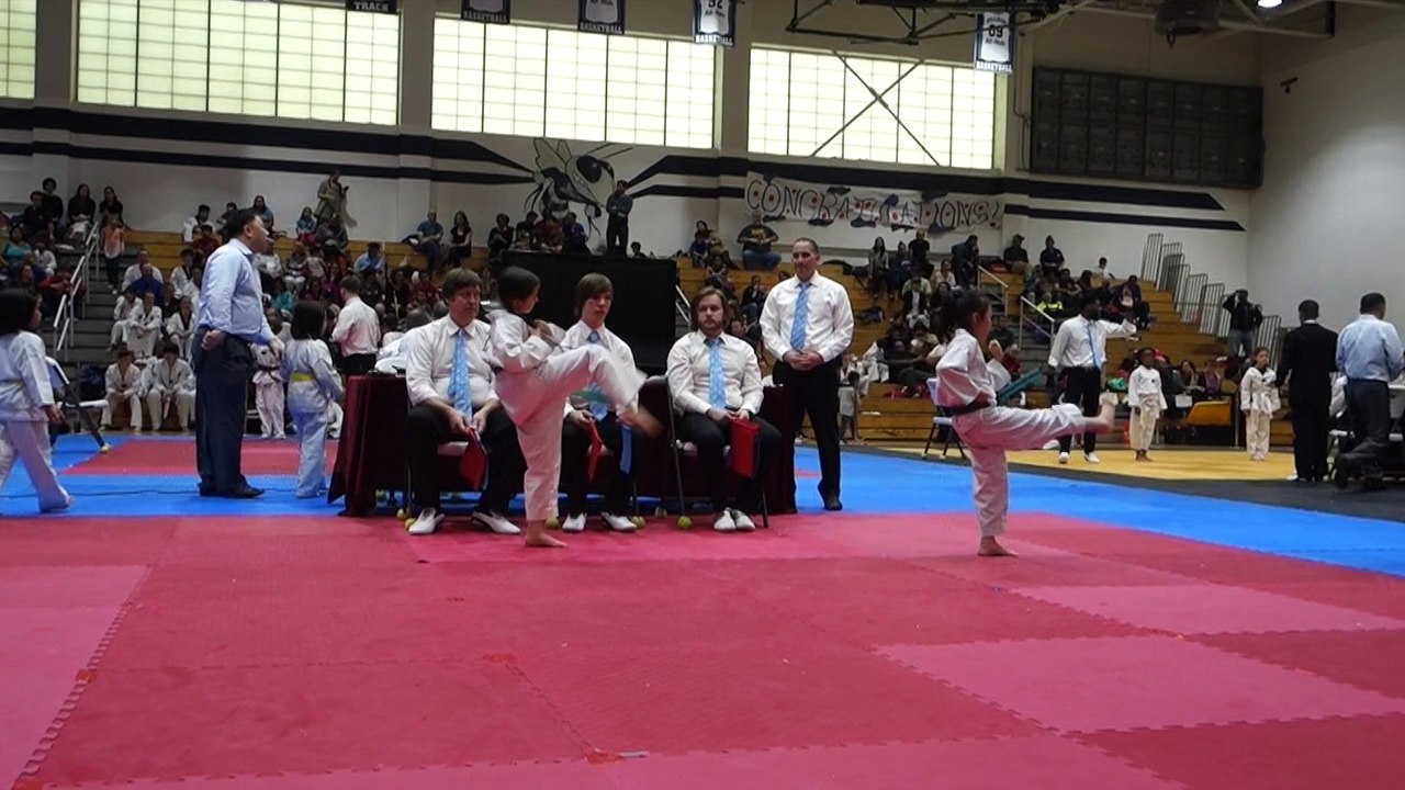 Tournoi taekwondo mars 2017