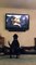 rottweiler watching tv