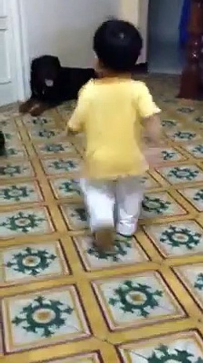 rottweiler playing with baby part 2