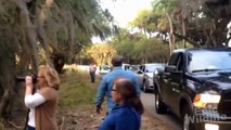 Myakka Skunk Ape Sighting in Florida