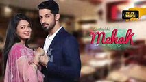 Zindagi Ki Mehek - April 04, 2017 - Upcoming Twist - Zee TV Serial News