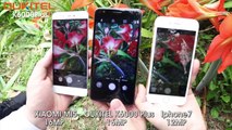 Comparativa de cámara: OUKITEL K6000 Plus VS Xiaomi mi5 VS iPhone 7