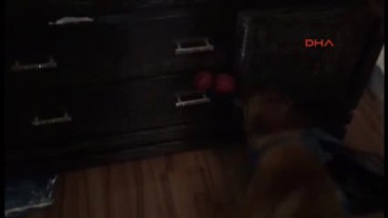 Van'da 109 Kilo Eroin Ele Geçirildi