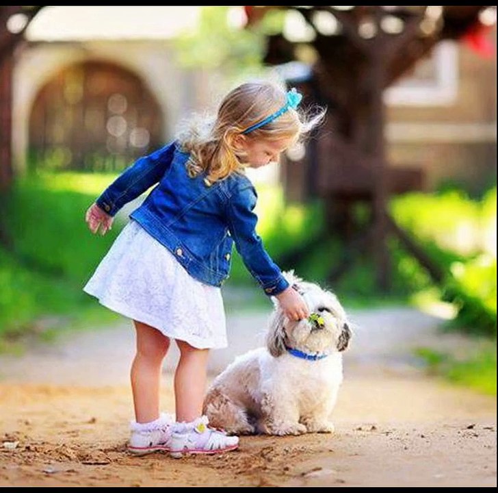 Cute animal