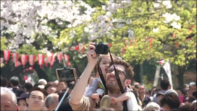 Japan Welcomes Spring With Blooming of Cherry Blossoms