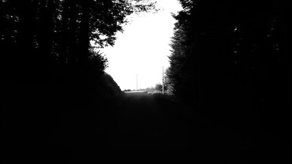 Film "Le fil conducteur"