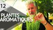 Cultiver des plantes aromatiques  - ÉPISODE 12