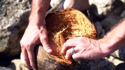 How To Open Dried Coconut Bare Hand