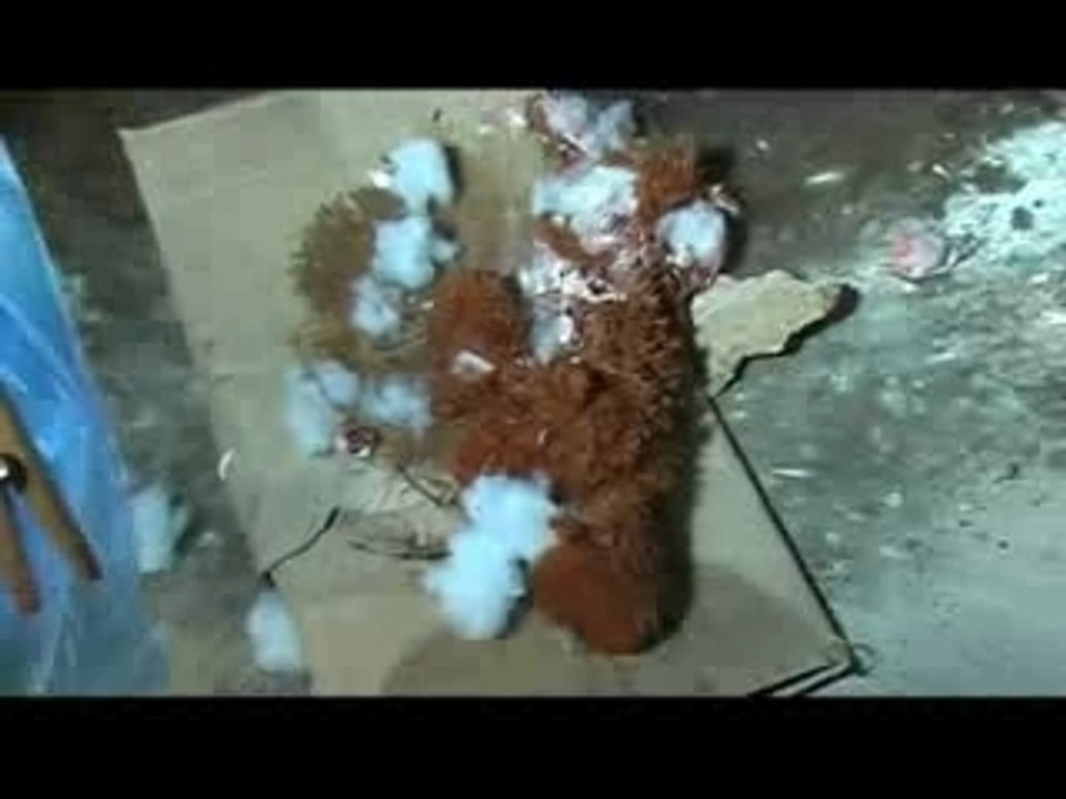 Teaser de La Poupée
