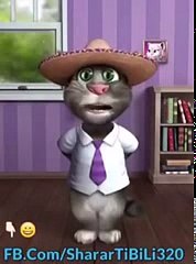 Punjabi Totay Funny Tom cat 2017 whatsapp Video   YouTube