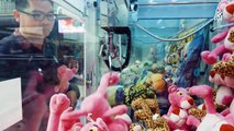 Le gars a gagné 15 000 peluches aux machines à pinces... un veritable expert