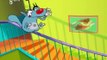 Oggy and the Cockroaches Cartoons Best New Collection HD Part 36