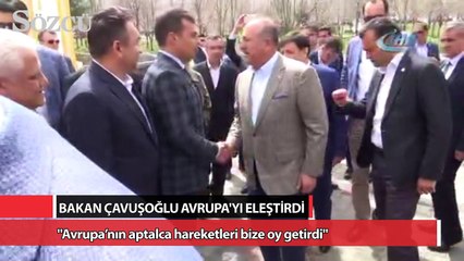 Bakan Çavuşoğlu: "Avrupa’nın aptalca hareketleri bize oy getirdi"