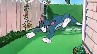 Tom and jerry show 4 april 2017