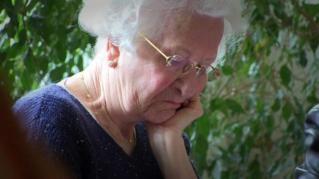 Conseil des seniors - Conseil des seniors