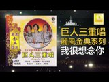 巨人三重唱 Ju Ren San Chong Chang - 我很想念你 Wo Hen Xiang Nian Ni (Original Music Audio)