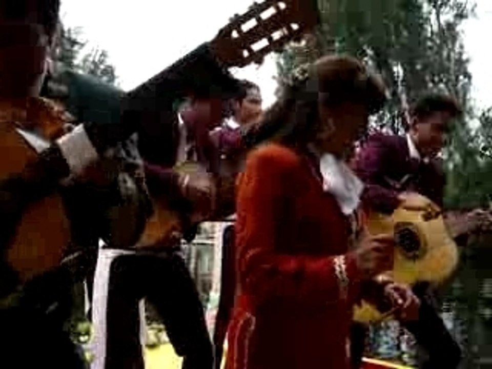 Vieja