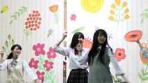 アイドル　 いちご姫ライブ イオンモール大牟田 2部の後半　20151205