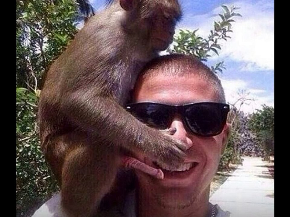 IMAGENS ENGRAÇADAS DE ANIMAIS