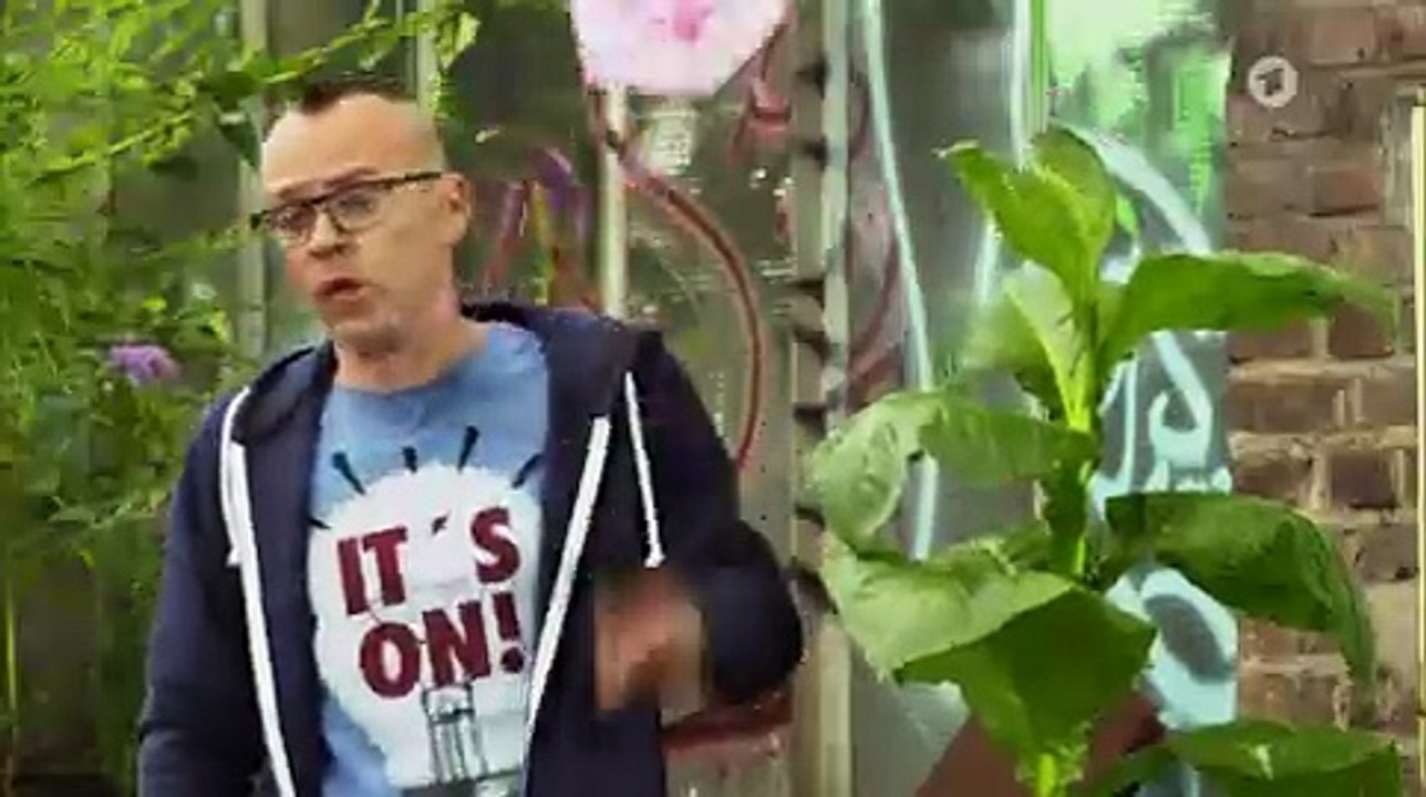 Auch Pflanzen kriegen einen roten Kopf | Wissen vor Acht: Natur | Das Erste